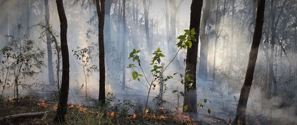 All fires within the Kempsey and Nambucca government areas are now under control. Photo: NSW RFS
