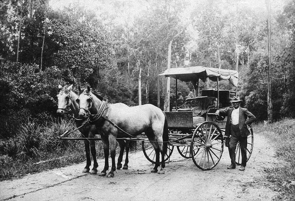 Bowraville to Macksville mail coach in the late 1800's