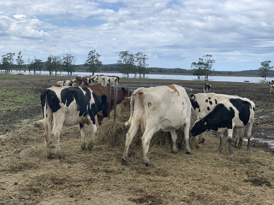 It will take months for pastures to recover. Photo: Sue McGinn