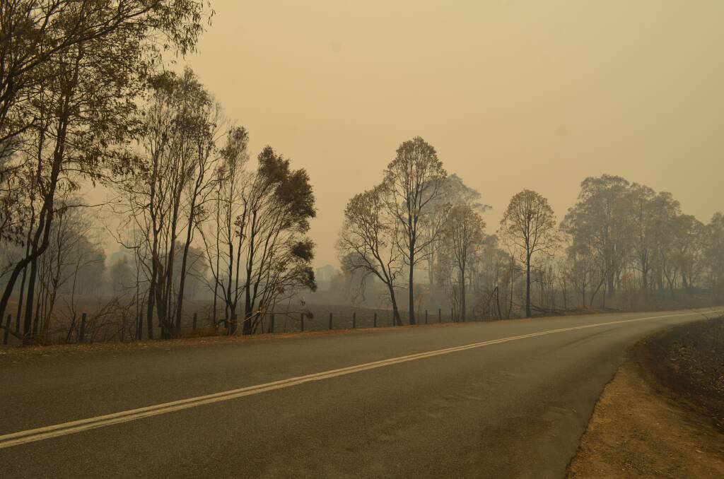 The burnt landscape near Willawarrin. Photo: Callum McGregor