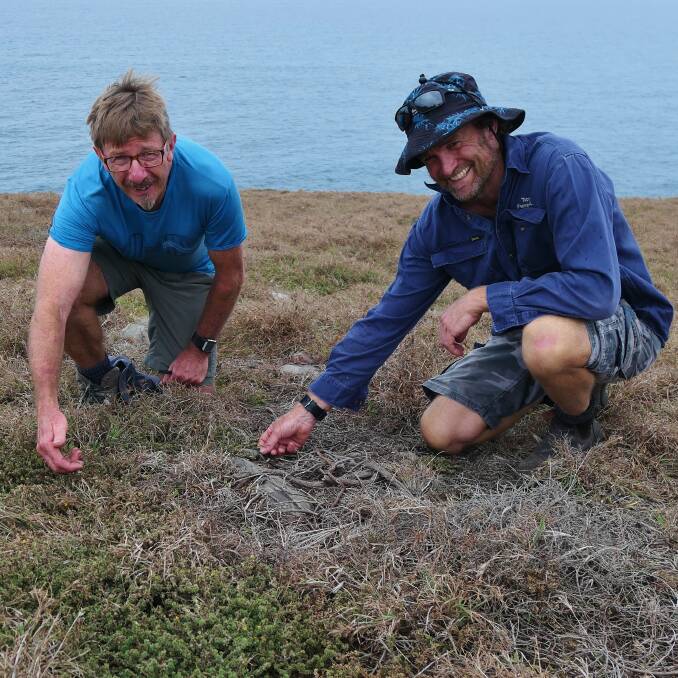 Landcare volunteers Graeme Carrad and Peter Watson at Big Nobby Headland. Photo: Supplied