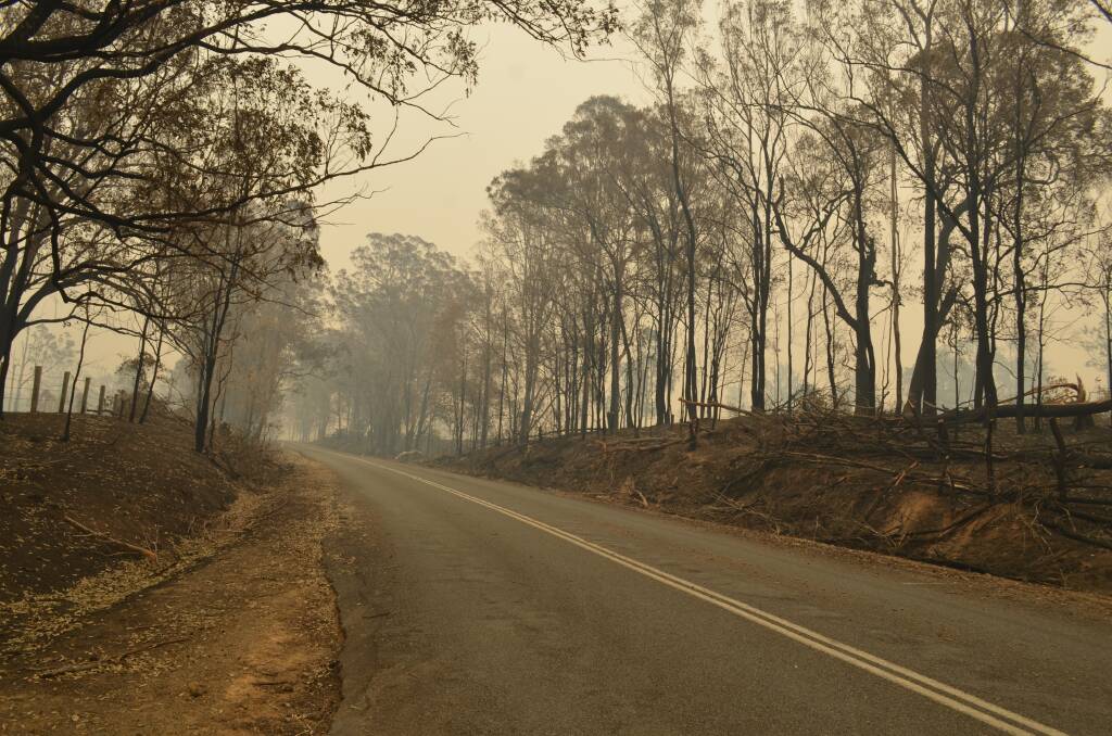 Burnt landscape near Temagog and Willawarrin. Photo: Callum McGregor