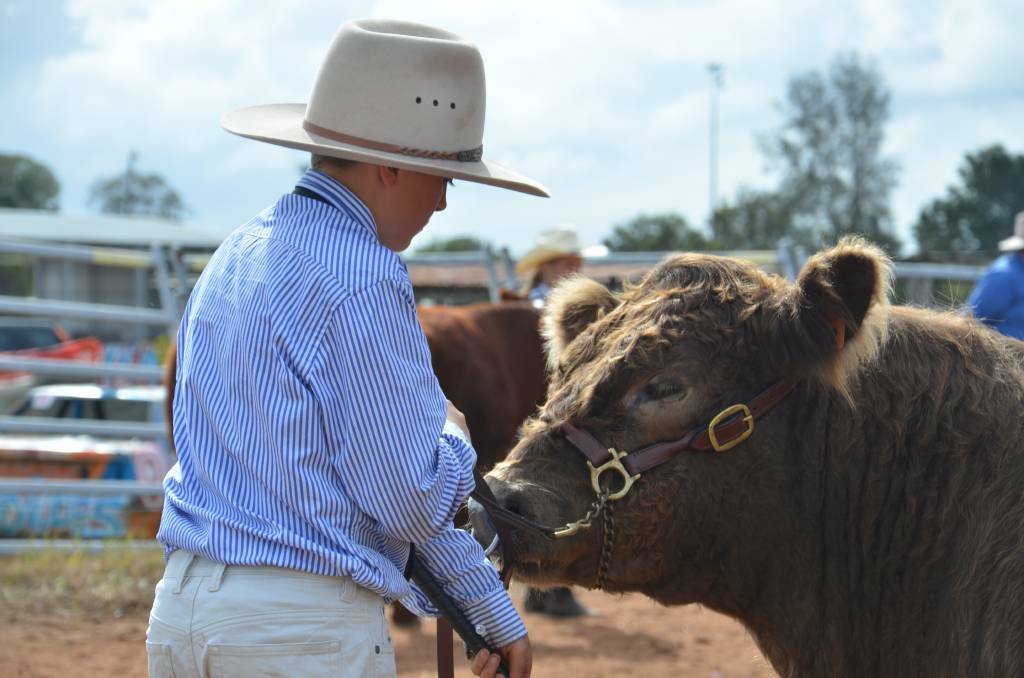 The Kempsey Show will go ahead in September. Photo: Ruby Pascoe