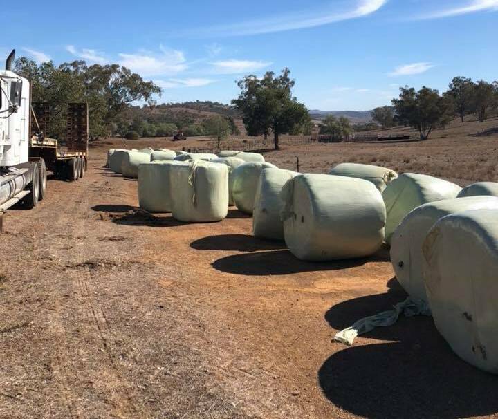 The first truck load of hay will feed a herd of 80 cows. Photo: The Macleay Hay Run
