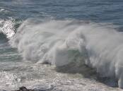 Powerful swells off the Macquarie Coast. Photo: Ruby Pascoe