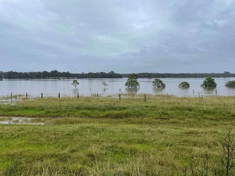 Rainfall has been recorded within the upriver and tablelands portion of the Macleay River Catchment. Photo: Supplied