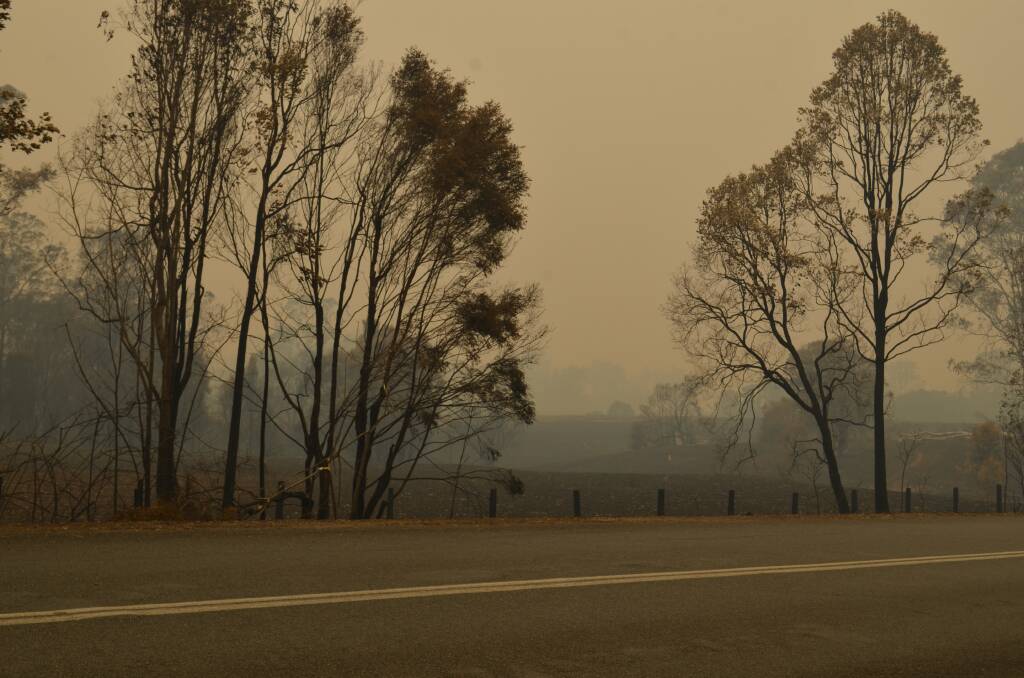 Fire-affected landscape near Willawarrin. Photo: Callum McGregor 