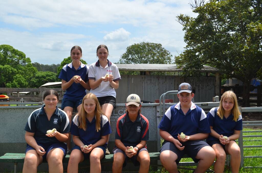 Year 9 students from Kempsey High School will be involved in the project for the next six weeks. Photo: Ruby Pascoe