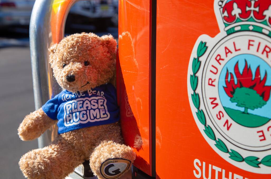 30 gentle bears have been delivered to the Lower North Coast RFS. Photo: Supplied