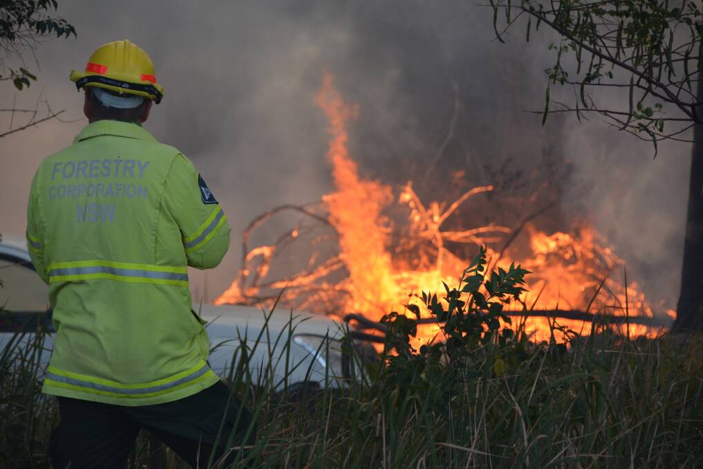 Forestry Corporation of NSW will be conducting hazard reduction burns on the Mid North Coast. Photo: Christian Knight