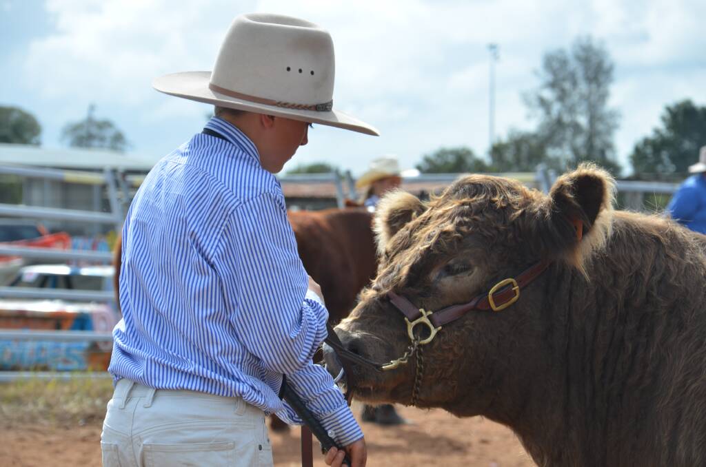 The 2020 Kempsey Show was cancelled in March. Photo: Ruby Pascoe