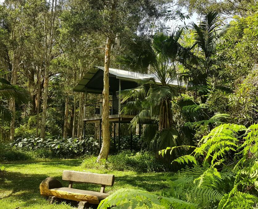 Diamond Waters Treehouse Retreat