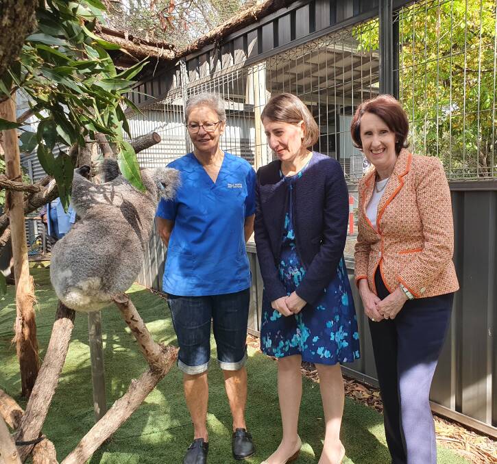 IMPORTANT WORK: A koala named Lismore Myrtle is in the spotlight as Port Macquarie Koala Hospital clinical director Cheyne Flanagan guides NSW Premier Gladys Berejiklian and Port Macquarie MP Leslie Williams around the koala hospital
