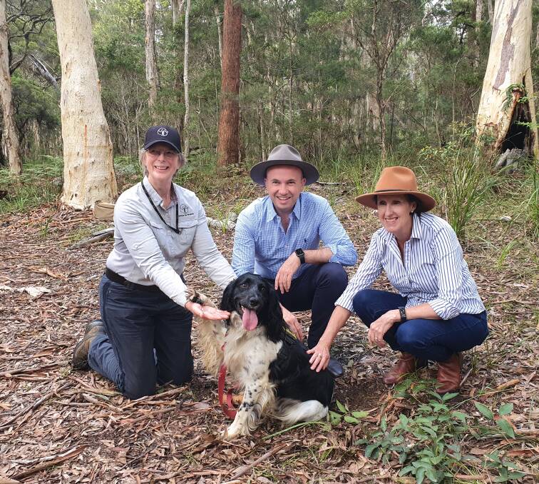 Important: Koala detection dog Ash with Canines for Wildlife's Lynn Baker, Environment Minister Matt Kean and Port Macquarie MP Leslie Williams. 