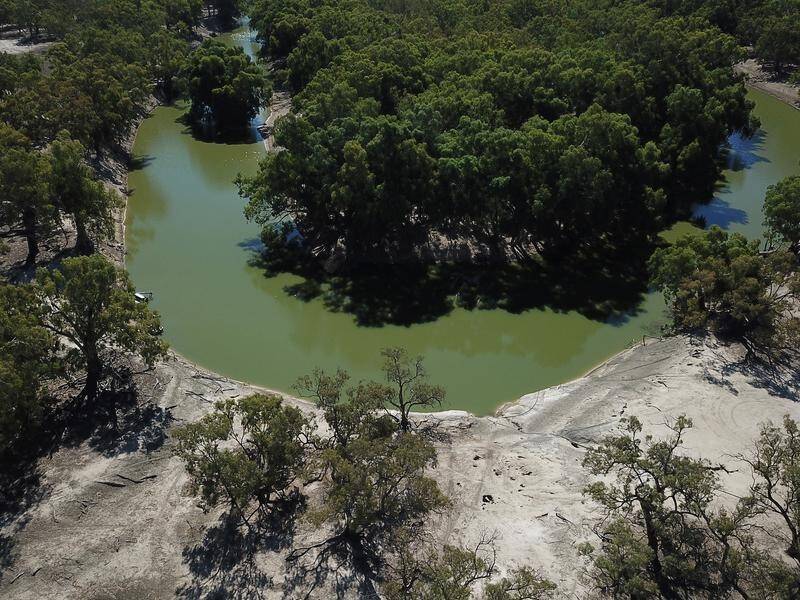 The ACCC has released its issues paper for a probe of water trading in the Murray-Darling Basin.