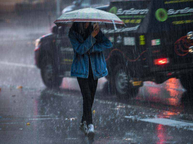 NSW has been lashed by wet and windy weather all week, and the conditions are forecast to continue.