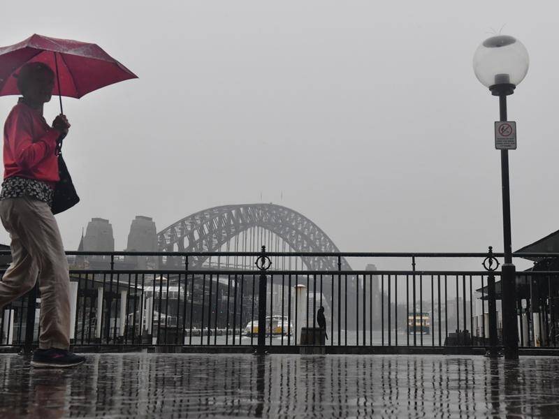 Some areas of NSW are tipped to receive a month's worth of rain by the end of the week.
