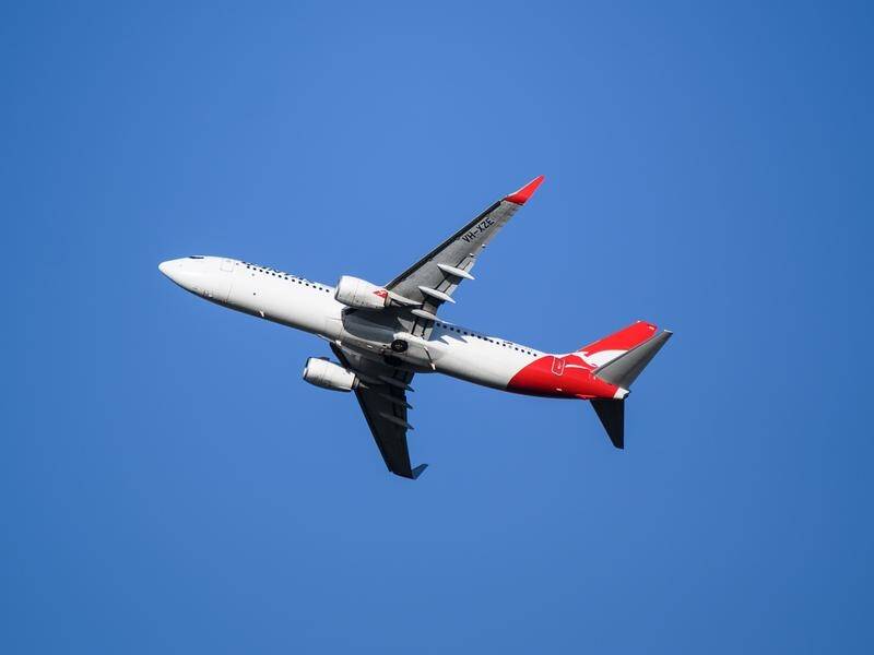 Cheaper airfares and growing confidence are boosting the domestic airline industry, the ACCC says.