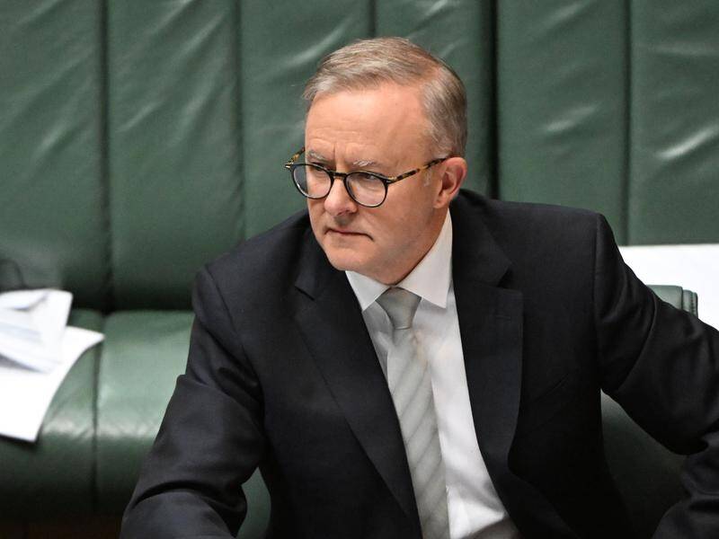 Anthony Albanese says the government wants to ensure businesses and consumers can access gas. (Mick Tsikas/AAP PHOTOS)