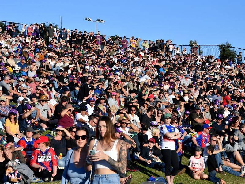 Crowds are seen on the hill at Sunshine Coast Stadium in round 12 of the NRL.