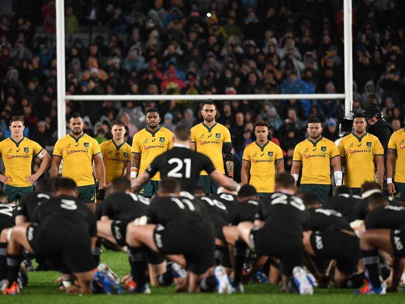 The Rugby Championship will return on November 7 after World Rugby agreed on a new playing window.