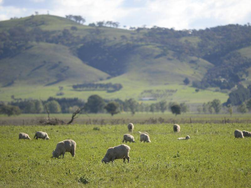 Agricultural groups want more detail on the Morrison government's plan to reach net zero by 2050.