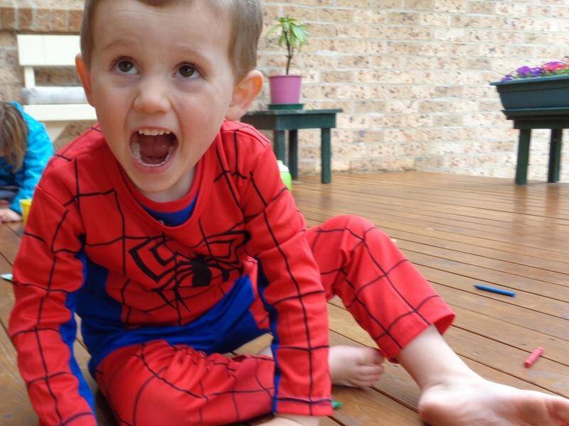 William Tyrrell was last seen in the garden of his foster grandmother's home in Kendall in 2014.