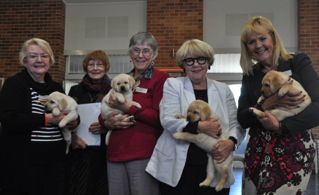 The VIEW Club members were delighted to meet the special guests and their puppies. Photo: Stephen Katte 