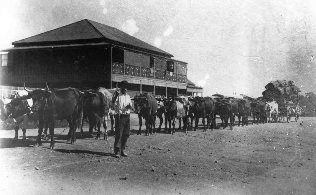 John Hudson and his bullock team outside the Greenhill Hotel 1928 Photo: MRHS