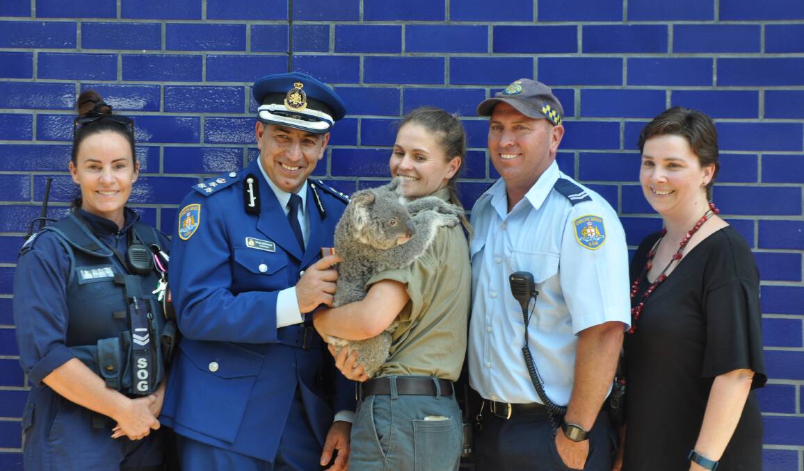 Peter the Koala was welcomed with open arms at the recent announcement of the project. Photo: Stephen Katte 