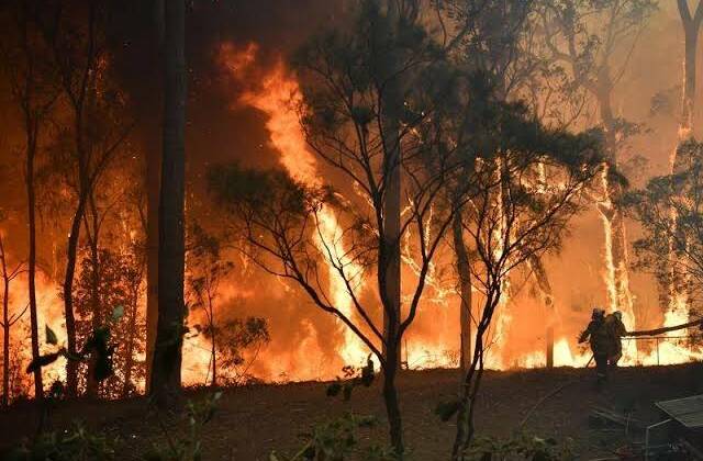 The fire is more than 121,900 hectares in size. Photo: File