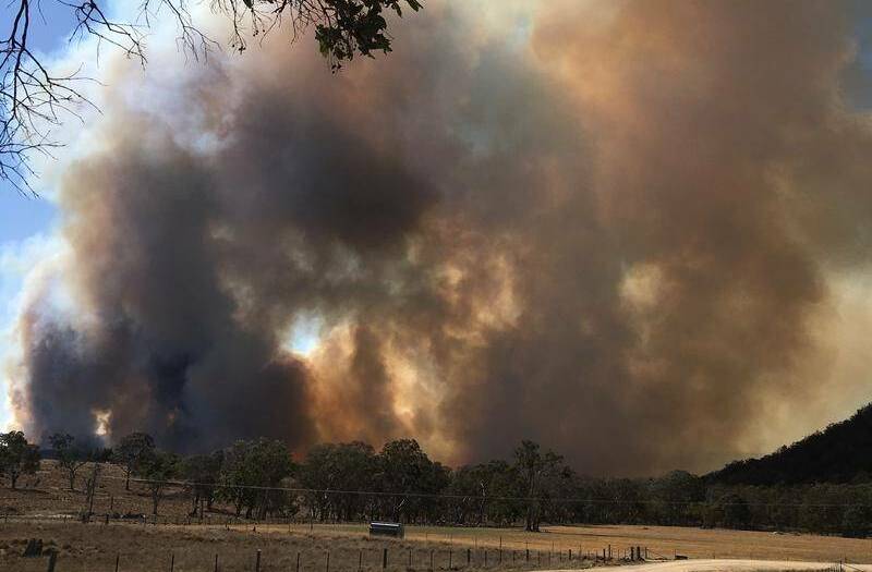 Continue to stay up to date with the bush fire situation by checking www.rfs.nsw.gov.au. Photo: File