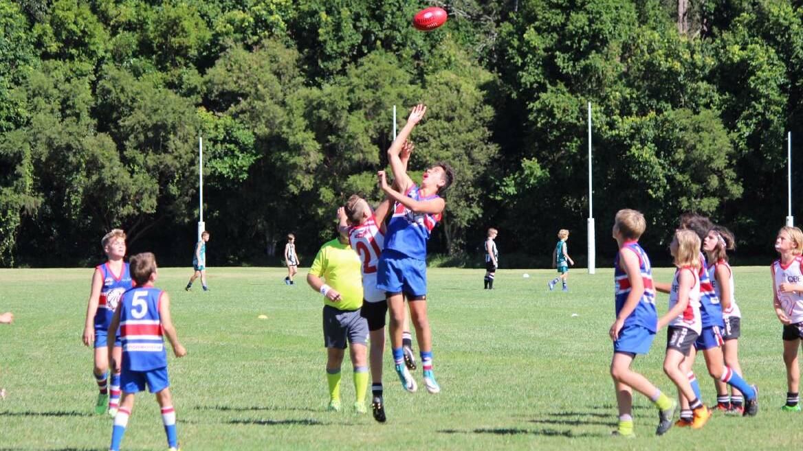 Several players from the Bellingen Bulldogs were recognised for their efforts throughout the season. Photo: File 