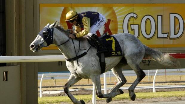 Cup bolter: Thunder Set remains entered in this year's Melbourne Cup. Photo: Jonathan Carroll

