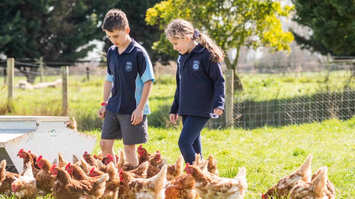 Why kids 'lose interest' in agriculture and how to fix it