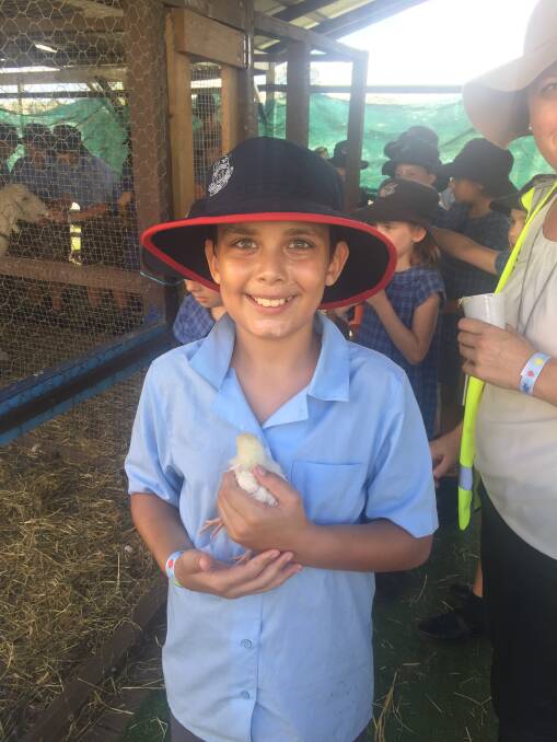 Julian Vale, a Year 5 student at St Joseph’s Primary School.