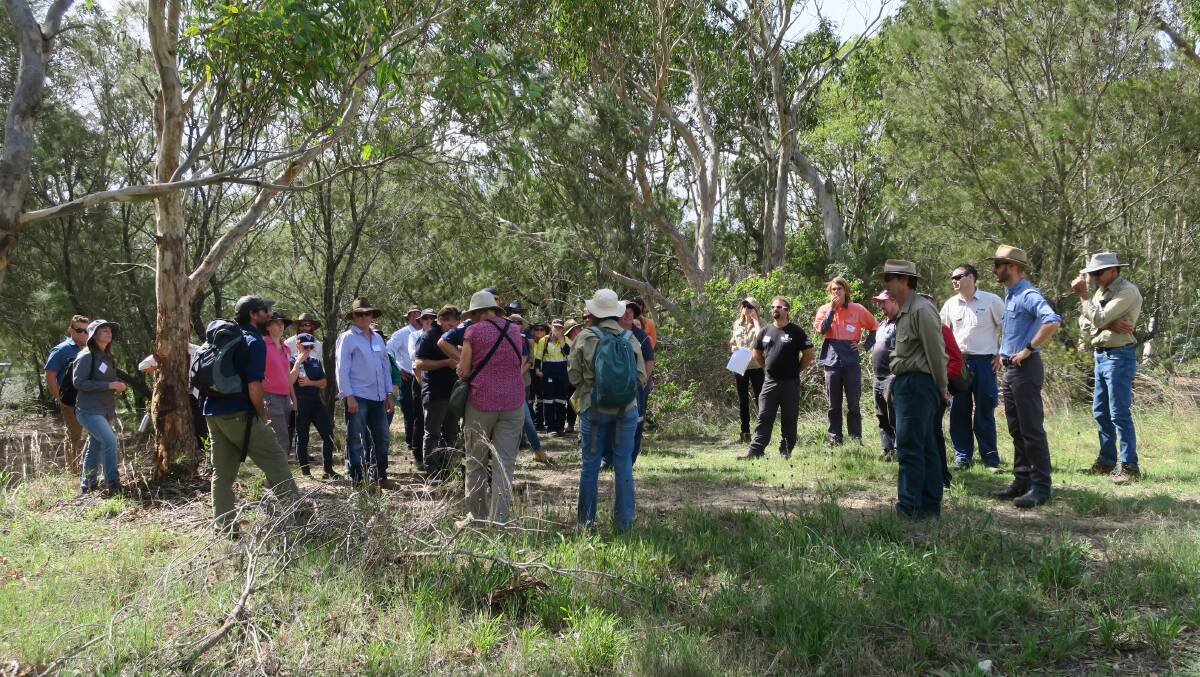 The workshop is being held on Tuesday June 4 and is targeting landholders with native vegetation in the hinterland forests west of Crescent Head