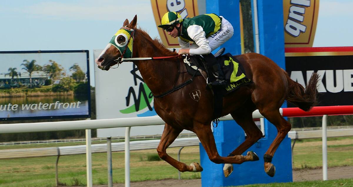 Champion: Single Spirit is first past the post in the 2015 Kempsey Cup and has been nominated to defend its title this Friday at the Kempsey Racecourse.