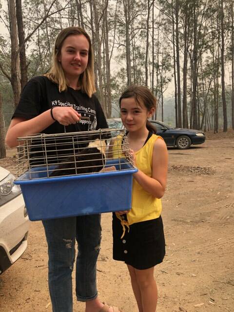 Jasmine Cuthel, who has volunteered to help care for injured and sick pets, with the little girl who was over the moon her cat was still alive