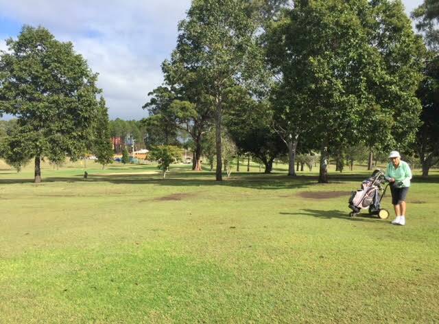 Great conditions: The Frederickton Golf Club's ladies competitors enjoyed a fabulous morning on the golf course. Photo: Supplied.