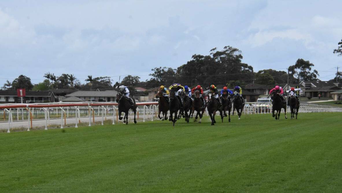 Horses on the straight during the Port Macquarie Cup carnival