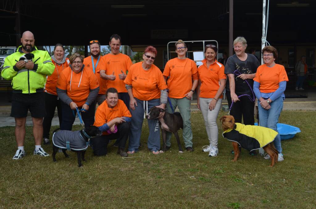 Members from the Kempsey Place Plan and the Kempsey Pound treated almost 100 dogs on Thursday. Photo: Callum McGregor.