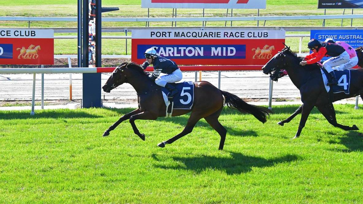Victorem first past the post at the Port Macquarie Race Club last year.