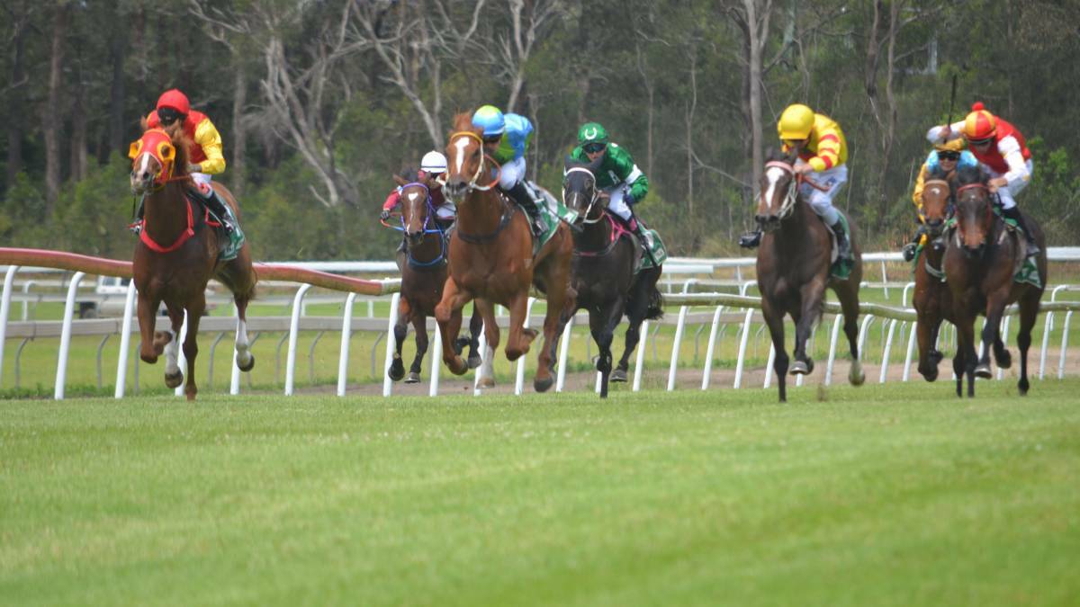 Horses storm down the straight at the Kempsey Race Track. Photo: Callum McGregor