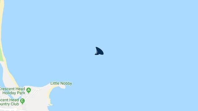 Breaking: Great White shark pings receiver tag at Crescent Head