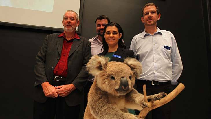Genetic win: Professor Peter Timms, far left, with Adam Polkinghorne, Dr Rebecca Johnson and Mark Eldridge, says it was "only right" his team won the global race to diagnose and treat diseases threatening to wipe out koalas. Photo: Ben Rushton